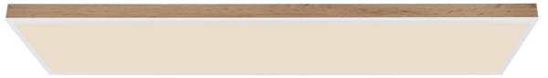 STROPNÍ LED SVÍTIDLO, 120/30/7.5 cm Globo - Online Only svítidla, Online Only
