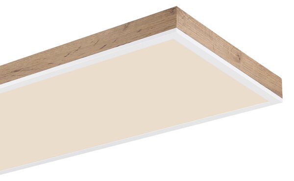 STROPNÍ LED SVÍTIDLO, 120/30/7.5 cm Globo - Online Only svítidla, Online Only