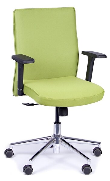 Kancelářská židle Pierre Barva: zelená