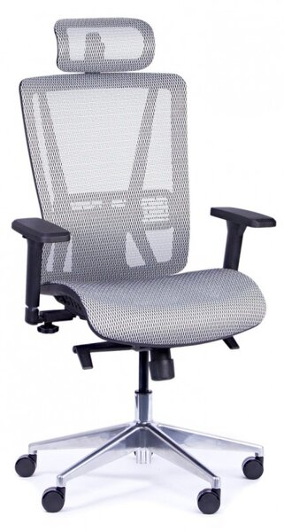 Rauman Kancelářská židle Salvador Barva: šedá