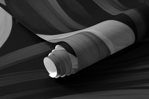 Fototapety Černobílé tulipány ve fotorealistickém stylu, Fototapety květiny, w02557 : uwalls.cz