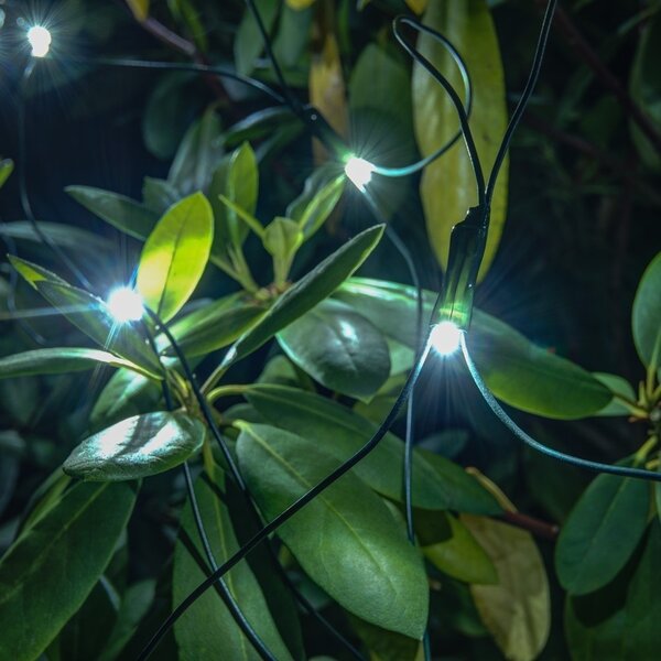 DECOLED Hobby Line LED světelná síť, 200 × 150 cm, ledově bílá, 90 diod, tmavě zelený kabel, IP44, prodlužovací