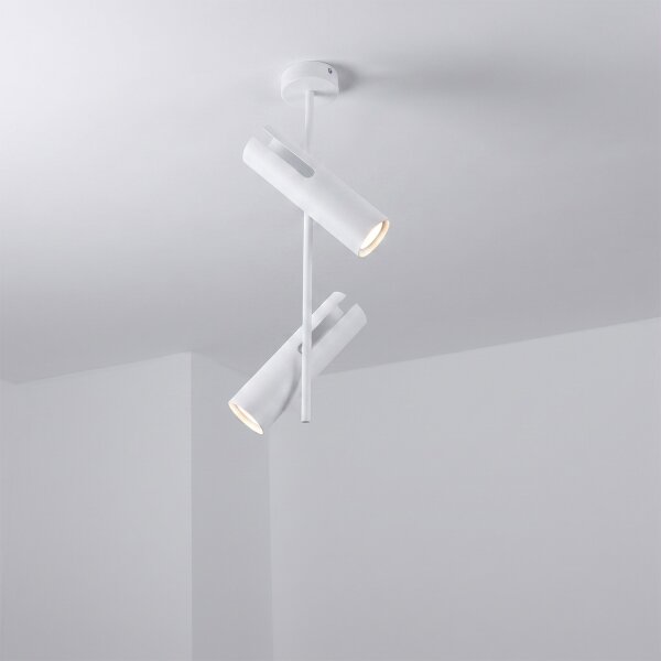 Brilagi - LED RGBW Stmívatelný lustr na tyči BRANCH 2xGU10/6,5W/230V bílá