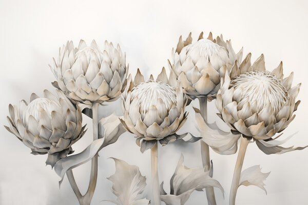 Fototapety Něžné proteas akvarel, Fototapety květiny, w08593 : uwalls.cz