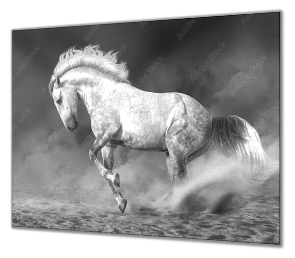 Ochranná deska šedý kůň grošák - 52x60cm / S lepením na zeď