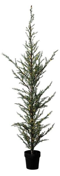 SIRIUS LED světelný stromek v květináči Cedr, 190 cm