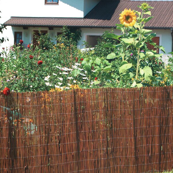 CLONA NA PLOT 300/90 cm - Online Only zastínění, Online Only