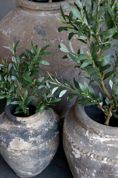 Dekorace umělý stromek olivovník s olivami Olea Tree - Ø 12*73 cm - Chic Antique