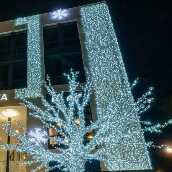 DECOLED Easy Fix LED světelný závěs venkovní, 100 × 300 cm, ledově bílá, 300 diod, bílý kabel, IP67, prodlužovací