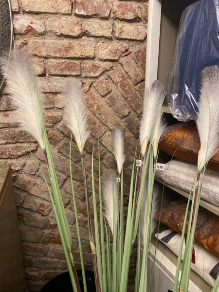 Animadecor Umělá dekorace - Travní peří bílé 120 cm