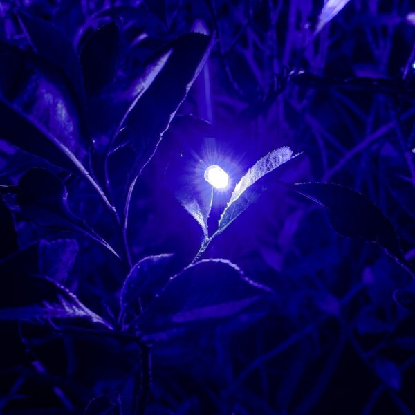 DECOLED LED světelný řetěz Hobby Line, 4 m, modrý, 32 diod