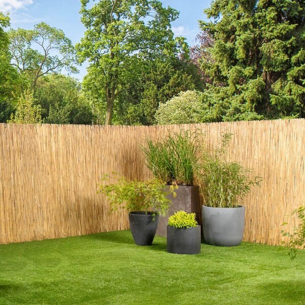 CLONA NA PLOT 600/120 cm XXXL - Online Only zastínění, Online Only