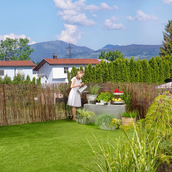 CLONA NA PLOT 300/90 cm - Online Only zastínění, Online Only