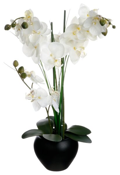 Umělá orchidej v černém květináči, bílá orchidej, výš, 53 cm