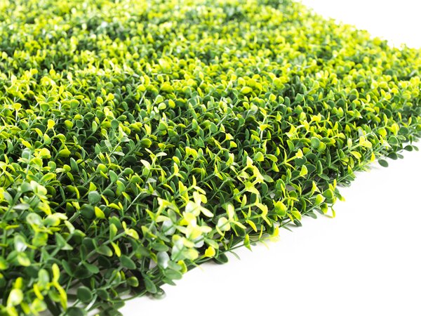 Umělý živý plot Hawaj Buxus High žlutý Stěna 100 x 100 cm