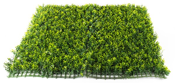 Umělý živý plot Hawaj Buxus High žlutý Stěna 100 x 100 cm