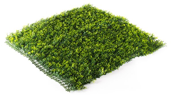 Umělý živý plot Hawaj Buxus High žlutý Stěna 100 x 100 cm