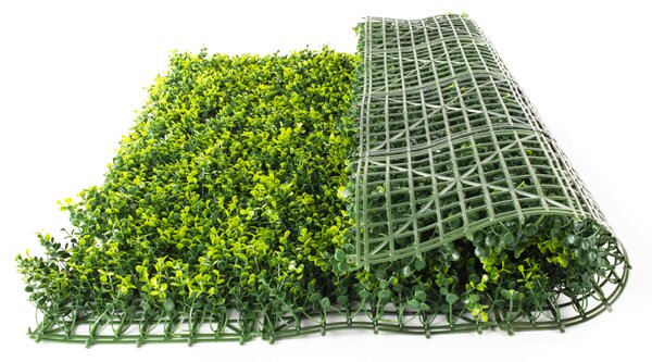 Umělý živý plot Hawaj Buxus High žlutý Stěna 100 x 100 cm