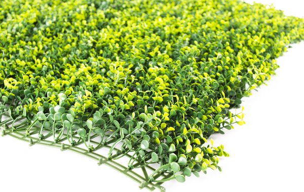 Umělý živý plot Hawaj Buxus High žlutý Stěna 100 x 100 cm
