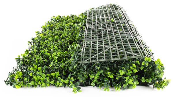 Umělý živý plot Hawaj Buxus High | Stěna 100 x 100 cm