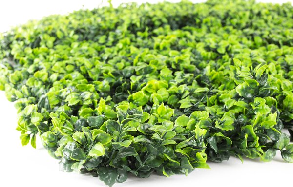 Umělý živý plot Hawaj Buxus High | Stěna 100 x 100 cm