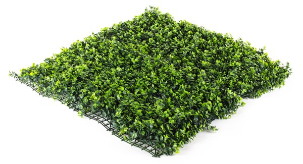 Umělý živý plot Hawaj Buxus High | Stěna 100 x 100 cm