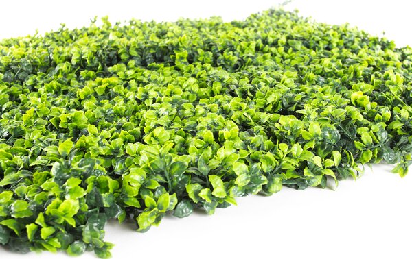 Umělý živý plot Hawaj Buxus High | Stěna 100 x 100 cm