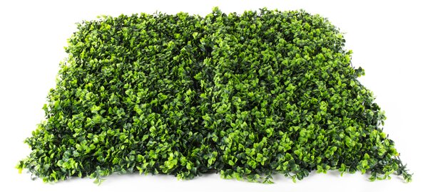 Umělý živý plot Hawaj Buxus High | Stěna 100 x 100 cm