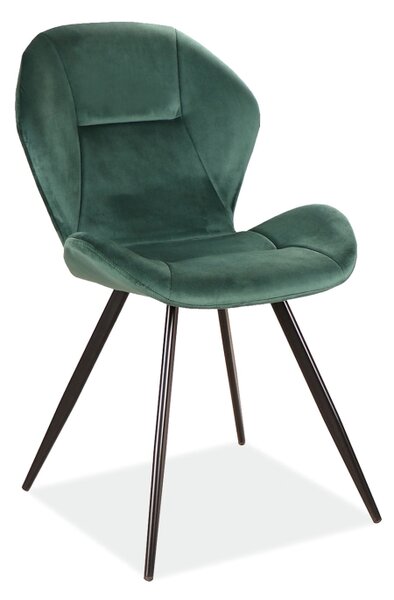 Jídelní židle - GINGER Velvet, různé barvy na výběr Čalounění: zelená (Bluvel 78)