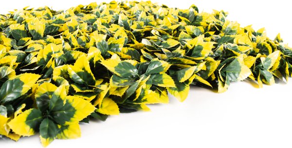 Umělý živý plot Hawaj Blýskalka Photinia žlutá Stěna 100 x 100 cm
