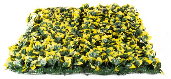 Umělý živý plot Hawaj Blýskalka Photinia žlutá Stěna 100 x 100 cm