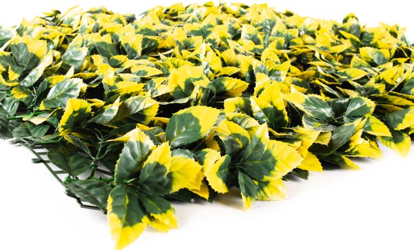 Umělý živý plot Hawaj Blýskalka Photinia žlutá Stěna 100 x 100 cm