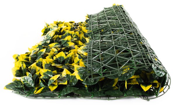 Umělý živý plot Hawaj Blýskalka Photinia žlutá Stěna 100 x 100 cm