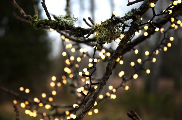 Eglo- LED Venkovní vánoční řetěz BERRY MINI 700xLED/8 funkcí 19m IP44 teplá bílá