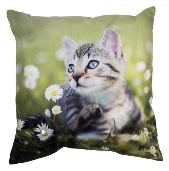 Zelený povlak na polštář s koťátkem – 45x45 cm