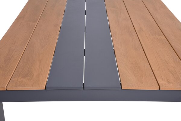 ZAHRADNÍ STŮL, kov, plast, 200/100/75 cm Gardenson - Online Only zahradní nábytek, Online Only