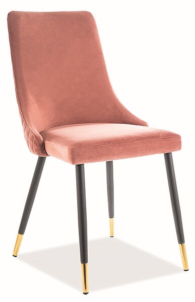 Jídelní židle Piano Velvet Gold Barva: Ružová / Bluvel 52