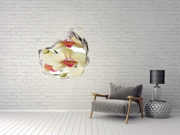 Fototapeta nálepka na zeď Orchidej nd-p-102443917