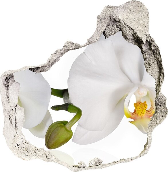 Samolepící nálepka fototapeta Orchidej nd-p-103920801