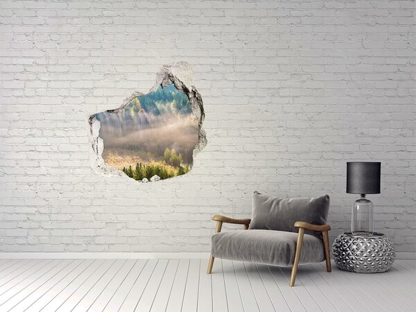 Fototapeta díra na zeď Mlha v lese nd-p-104886541
