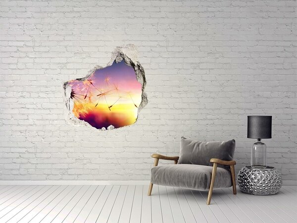 Fototapeta nálepka na zeď Pampeliška nd-p-107327055
