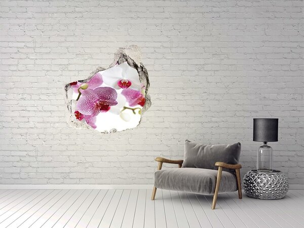 Fototapeta nálepka na zeď Fototapeta orchidej nd-p-107506962