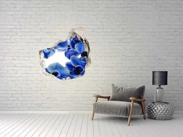 Fototapeta nálepka na zeď Modrá orchidej nd-p-108719239