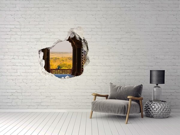 Fototapeta díra na zeď Fort Agra Indie nd-p-111161411
