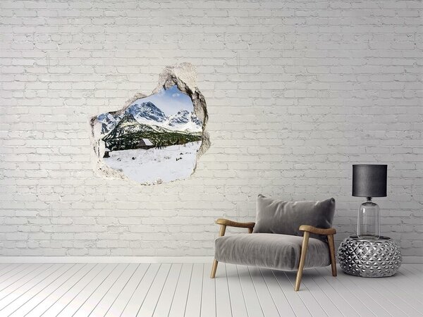 Díra 3D ve zdi na stěnu Tatry nd-p-111249964