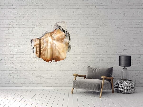 Díra 3D ve zdi nálepka Mlha v lese podzim nd-p-119225469