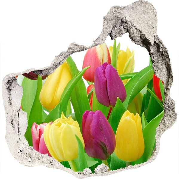 Samolepící nálepka na zeď Barevné tulipány nd-p-12652067
