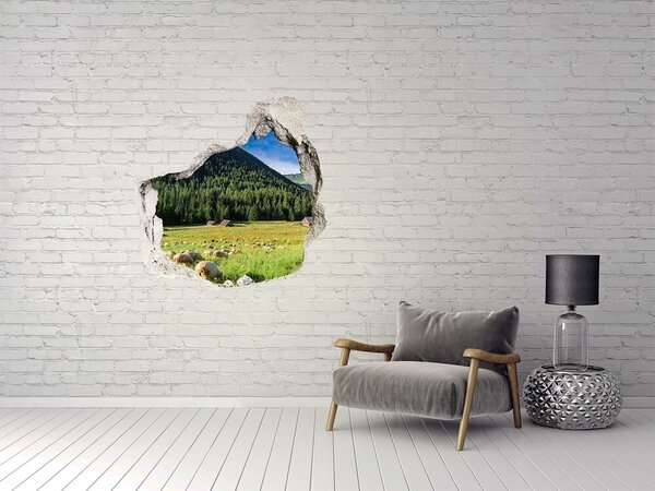Díra 3D ve zdi na stěnu Ovce v Tatrách nd-p-127508967
