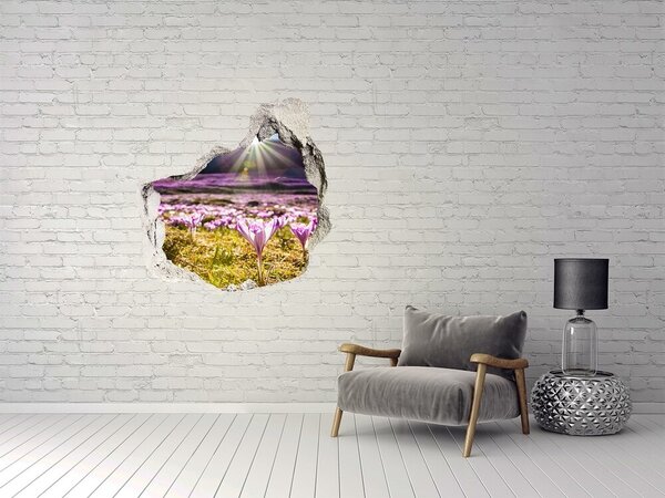 Díra 3D ve zdi nálepka Šafrán na louce nd-p-146993619