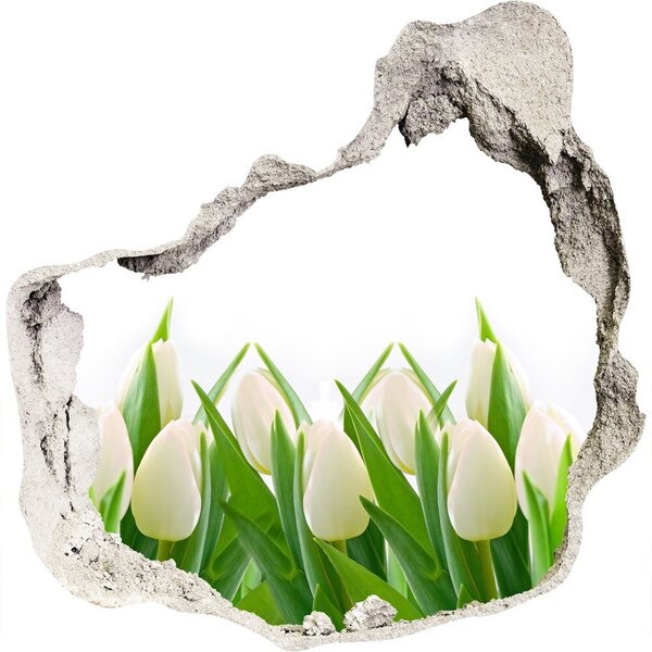 Samolepící nálepka fototapeta Bílé tulipány nd-p-30153186